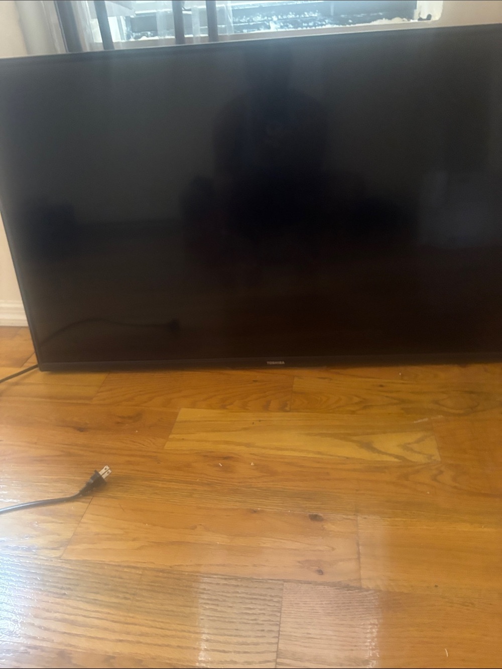 Toshiba Black Flat Panel Television